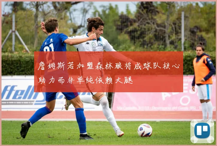 詹姆斯若加盟森林狼将成球队核心助力而非单纯依赖大腿