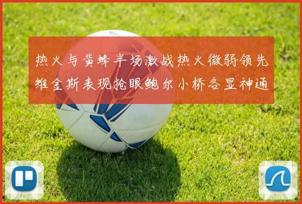 热火与黄蜂半场激战热火微弱领先维金斯表现抢眼鲍尔小桥各显神通