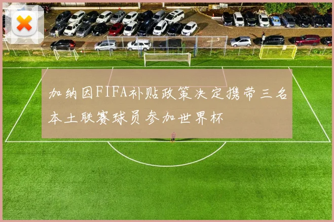 加纳因FIFA补贴政策决定携带三名本土联赛球员参加世界杯